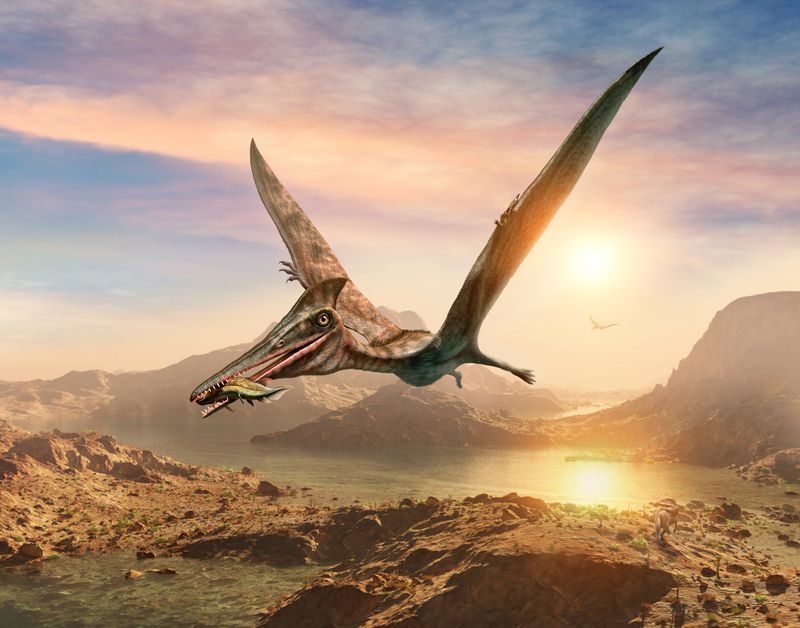 Pterodactylus