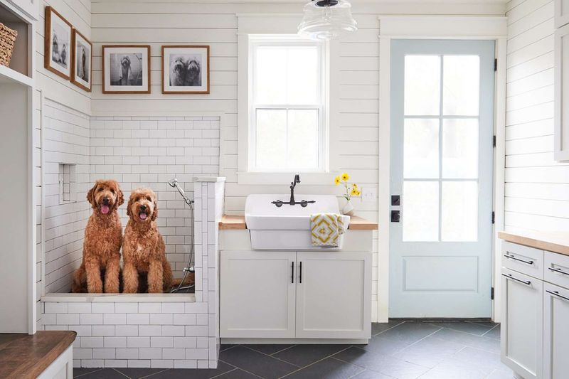 Create a Pet Hygiene Station