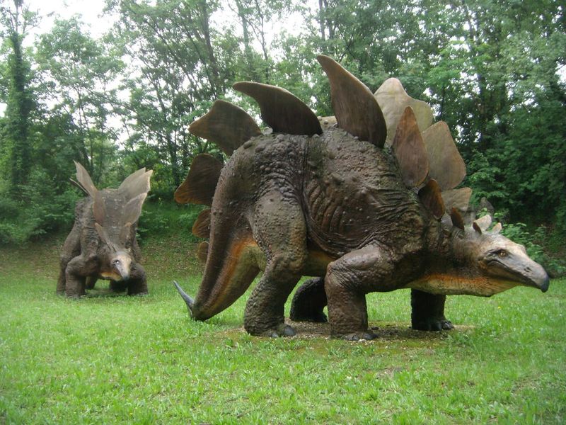 Stegosaurus