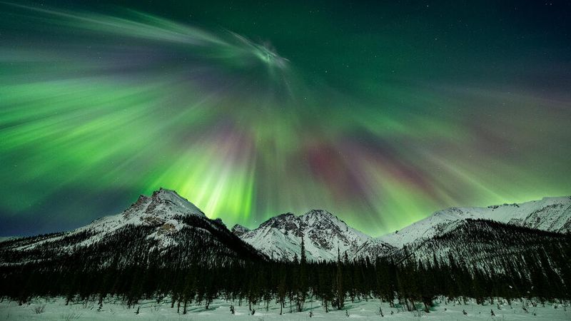 Frozen Fire: The Dance of the Aurora