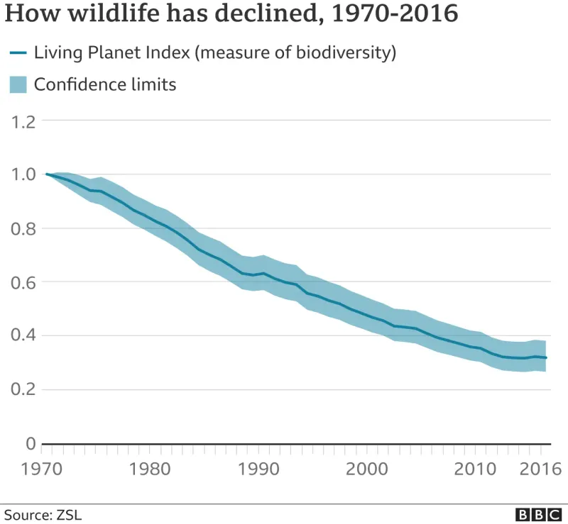 Wildlife Populations in Freefall