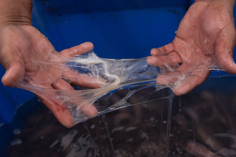 Hagfish Slime Factory