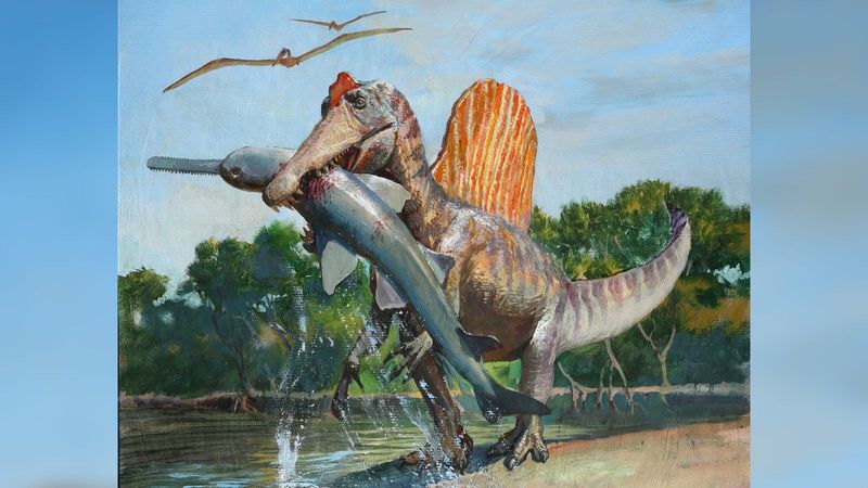 Spinosaurus: The Swimming Dinosaur Nightmare