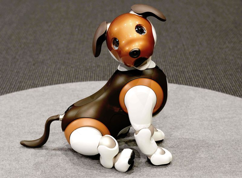 Robot Pets: Companions Without Fur