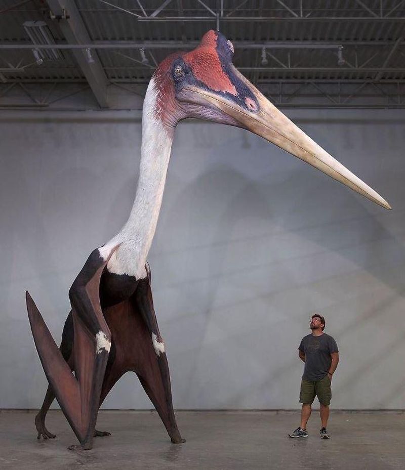 Quetzalcoatlus: The Living Airplane