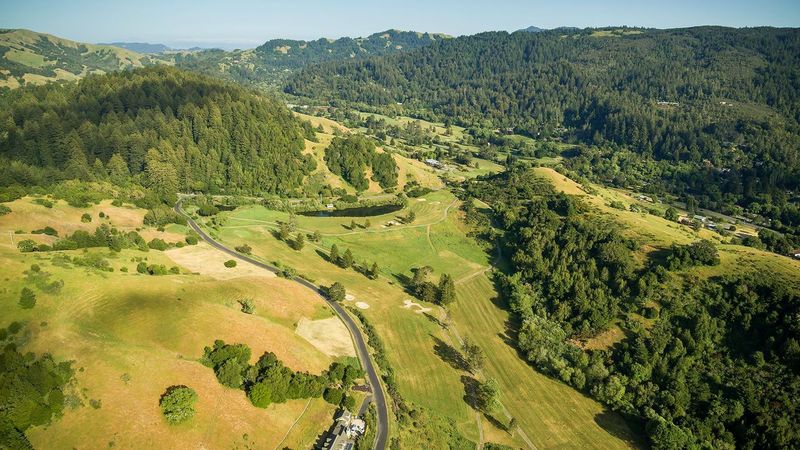 Highways Transform Into Wildlife Corridors