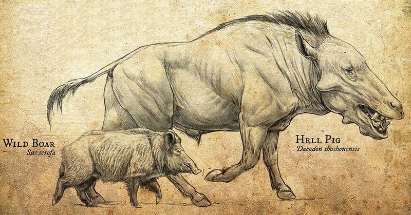 Daeodon: The Terminator Pig