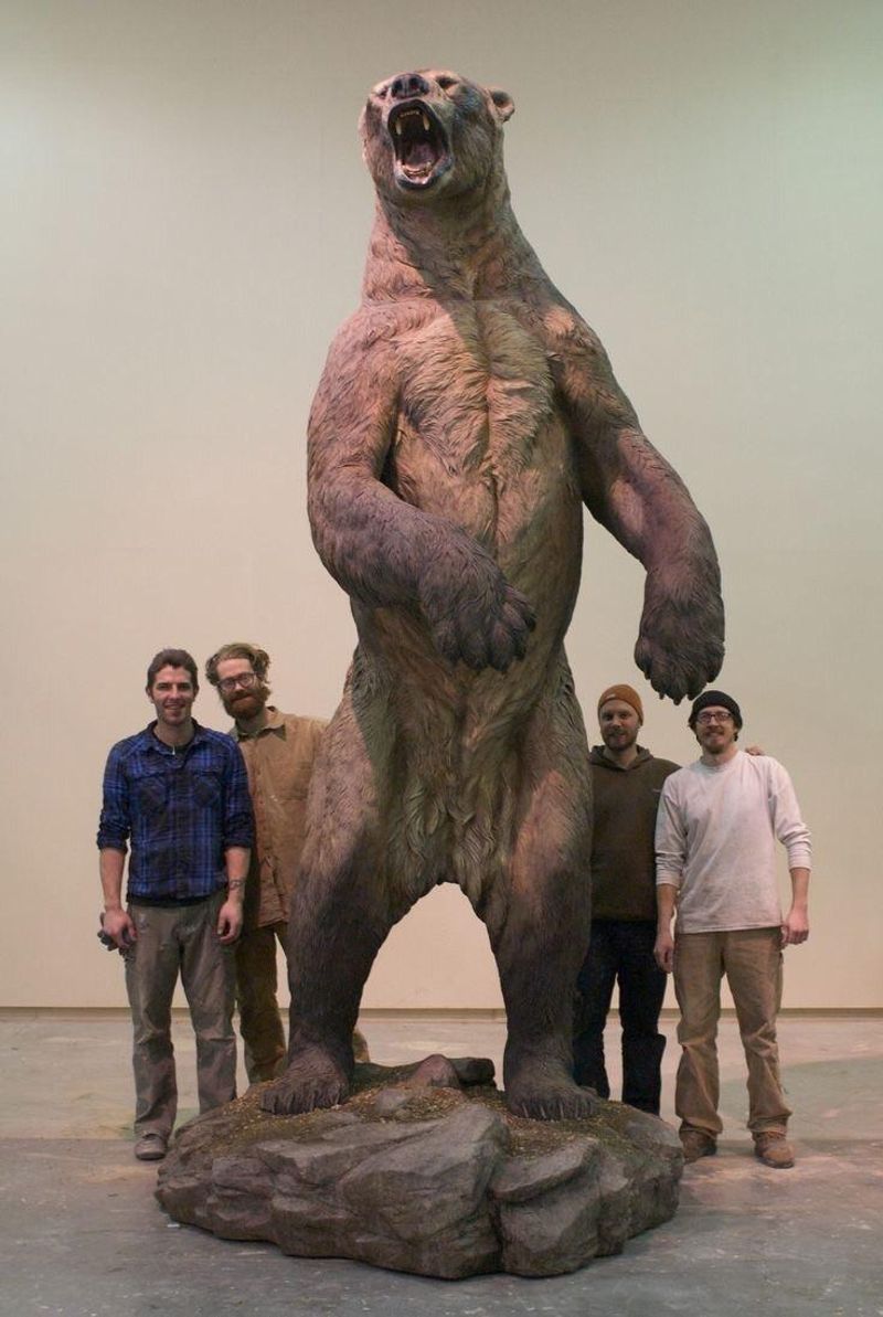 Arctodus: The Short-Faced Bear That Outran Horses