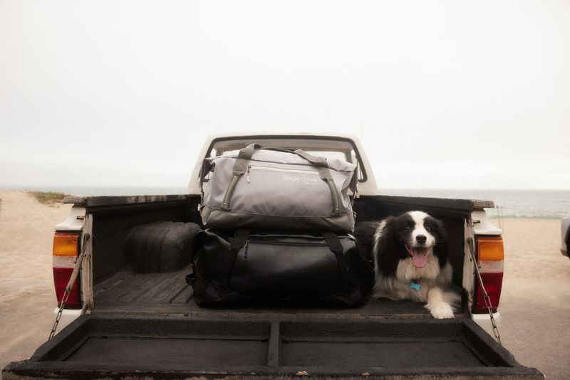 Strategic Packing for Four-Legged Travelers