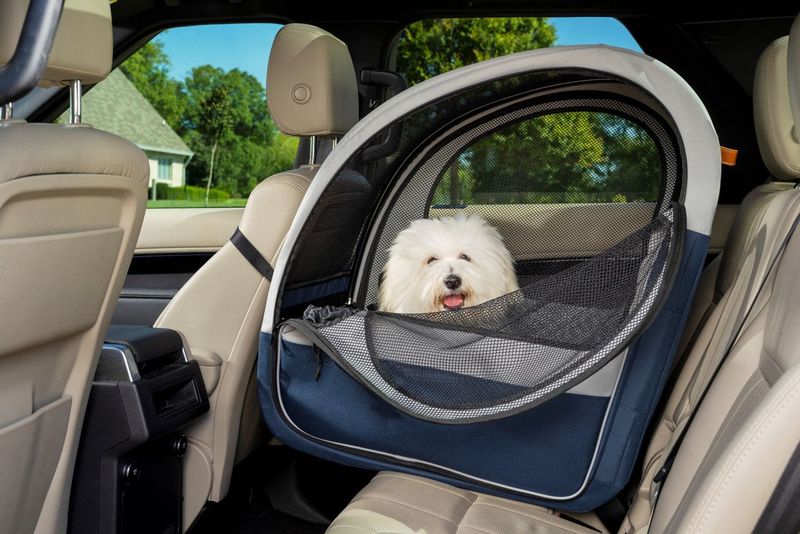 Perfect Your Pet's Carrier Game