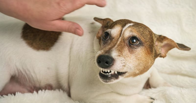 Unusual Aggression or Irritability