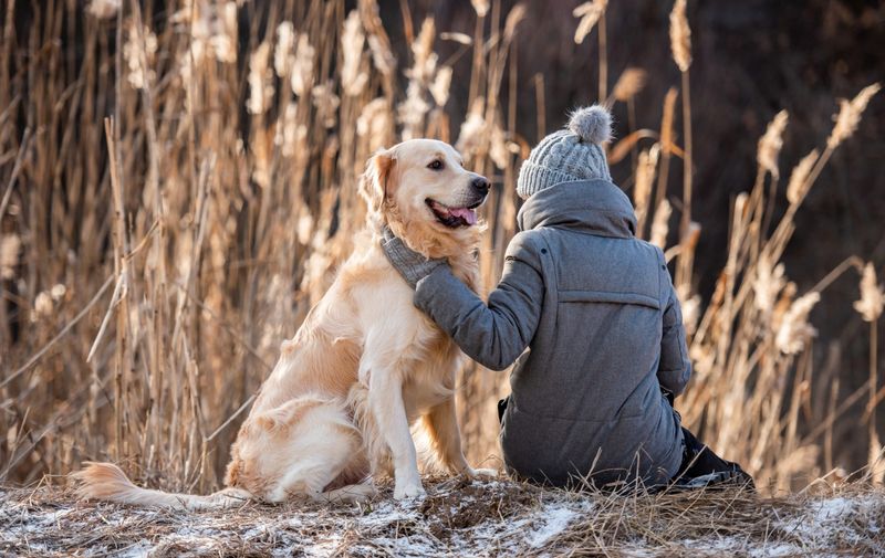 Emotional Connection: The Heart of Pet Parenting