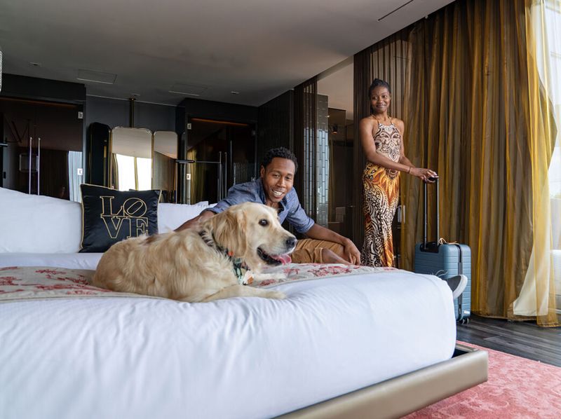 Mastering Pet-Friendly Accommodation Searches