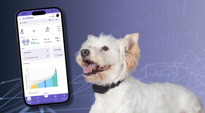 AI-Powered Pet Monitoring Systems