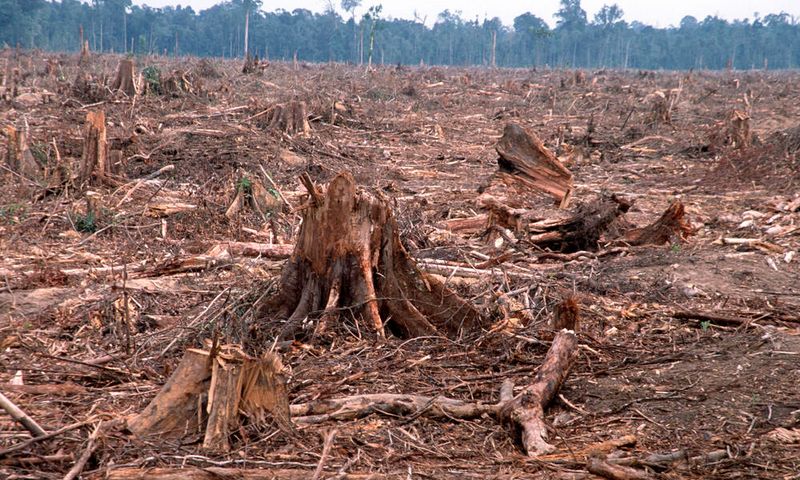 Vanishing Habitats, Vanishing Species